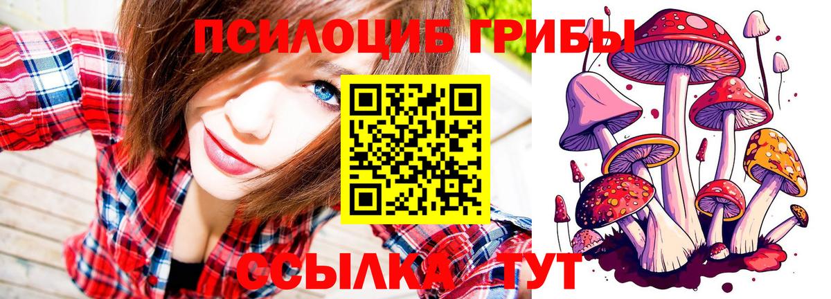 купить наркотики сайты  Псилоцибиновые грибы прущие грибы  Вход с VPN  Псилоцибиновые грибы Magic Shrooms  Елабуга 